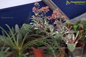 Horticulture Expo 2017