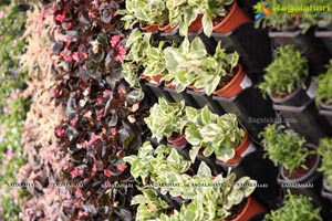 Horticulture Expo 2017