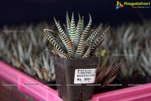 Horticulture Expo 2017