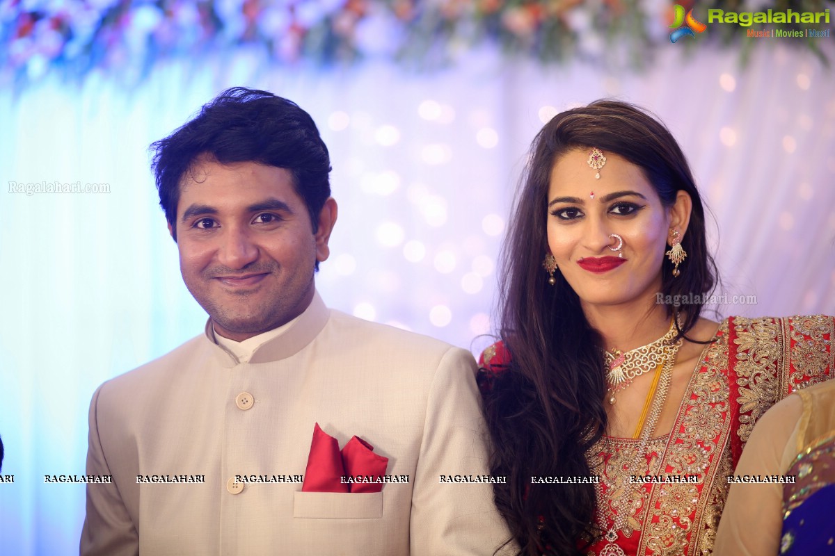 Swetha Jadhav Wedding Reception at EF Gardens Function Hall, Basheerbagh, Hyderabad