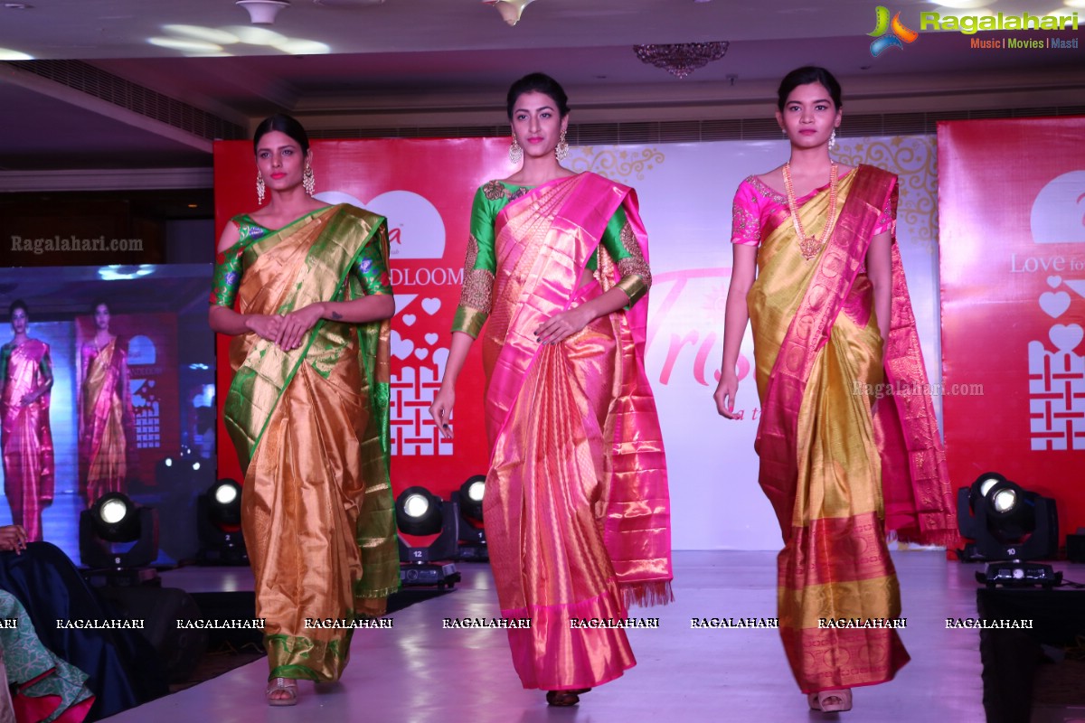 Trisha Love for Handloom Fashion Show at Taj Krishna, Hyderabad