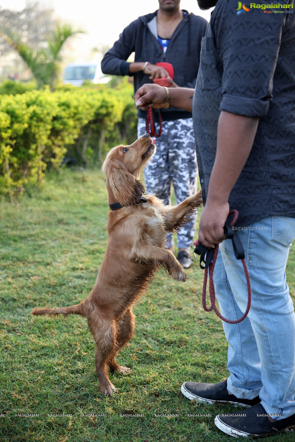 World's Pet Day 2017 at Necklace Road, Hyderabad