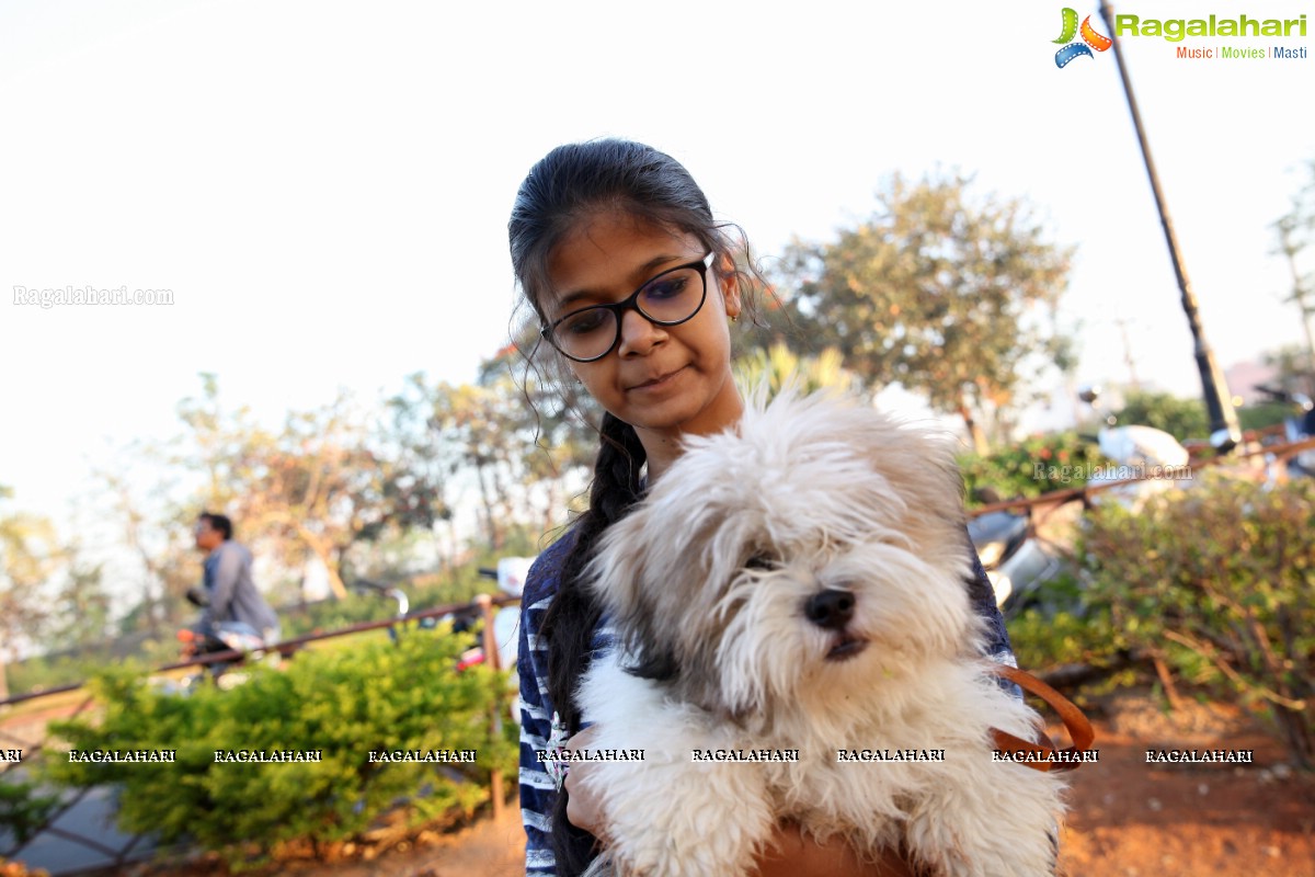 World's Pet Day 2017 at Necklace Road, Hyderabad