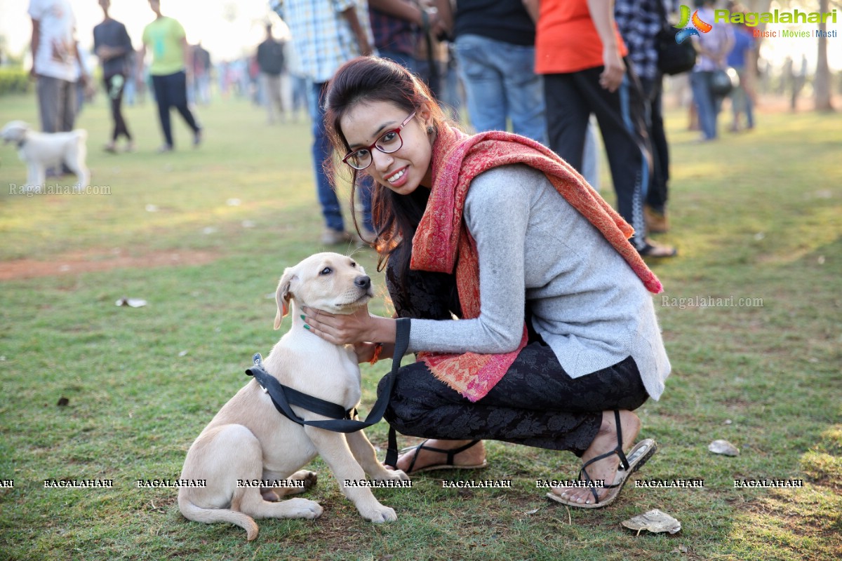 World's Pet Day 2017 at Necklace Road, Hyderabad