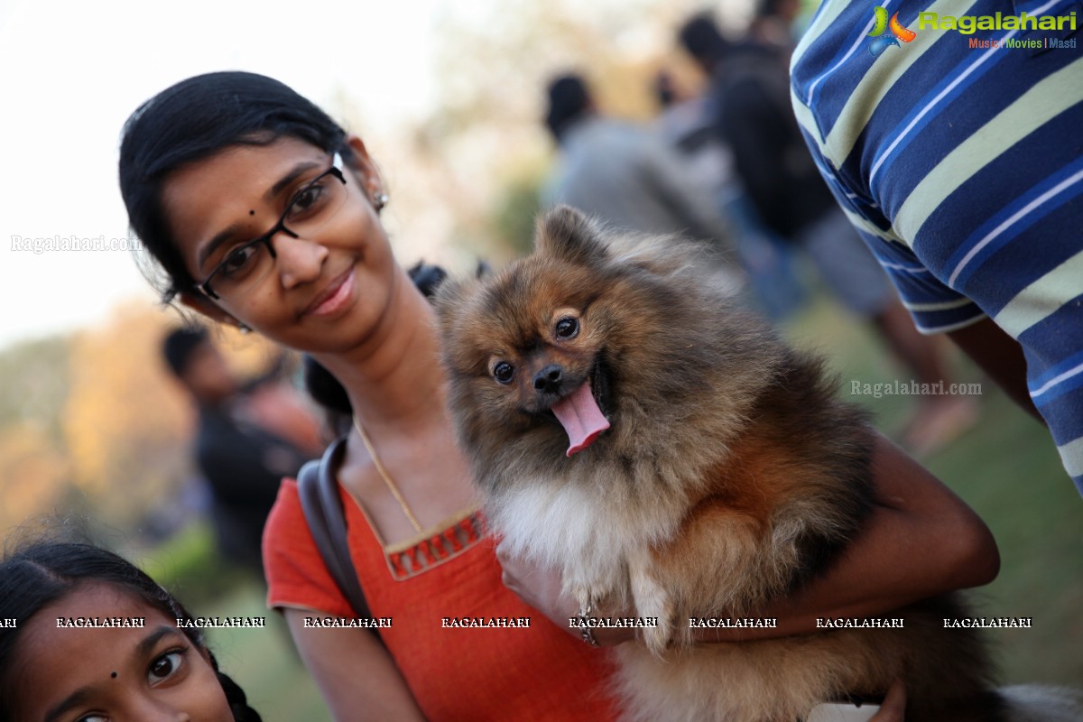 World's Pet Day 2017 at Necklace Road, Hyderabad