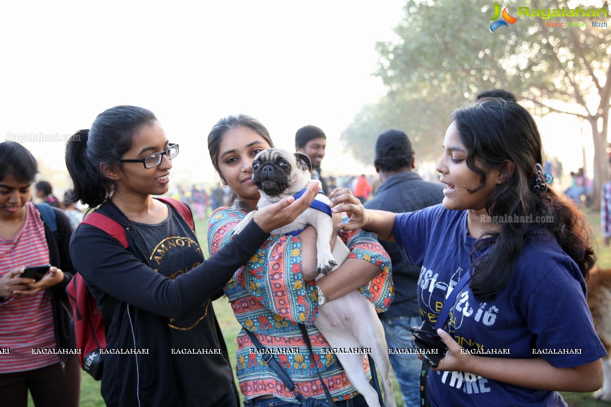 World's Pet Day 2017 at Necklace Road, Hyderabad