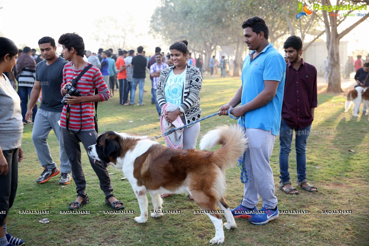 World's Pet Day 2017 at Necklace Road, Hyderabad