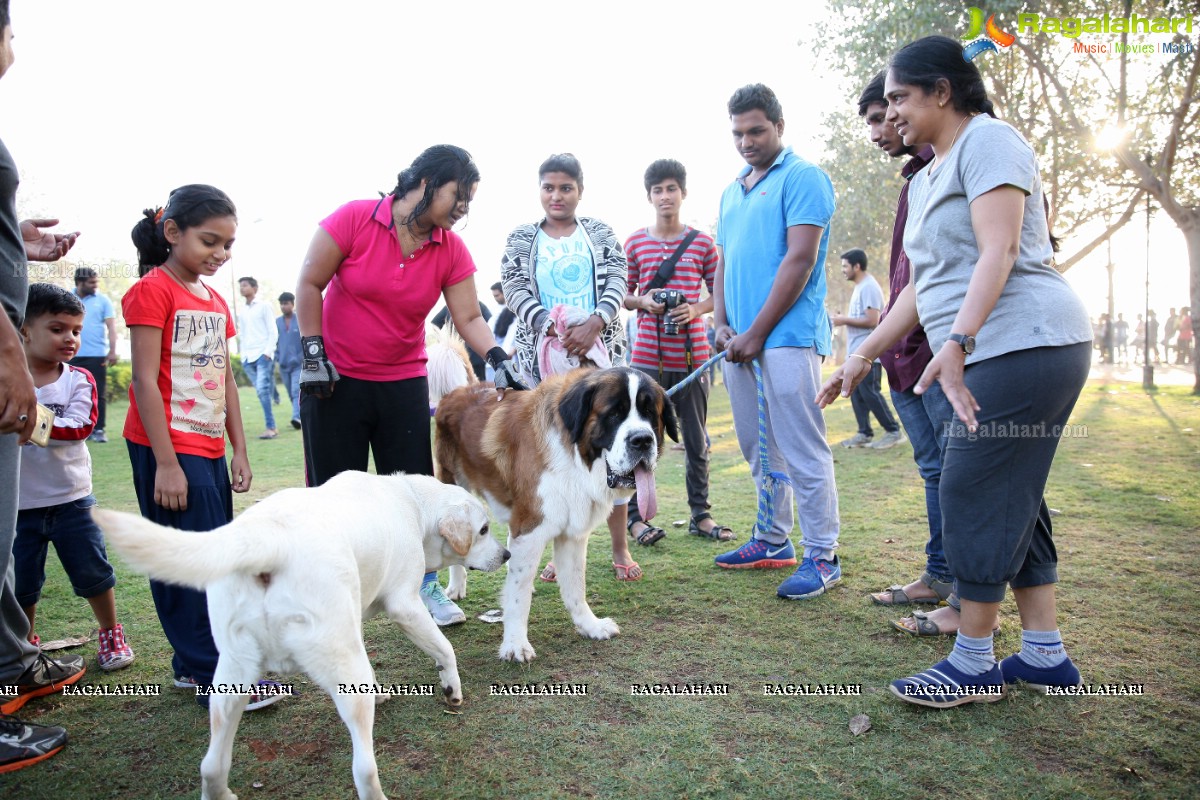 World's Pet Day 2017 at Necklace Road, Hyderabad