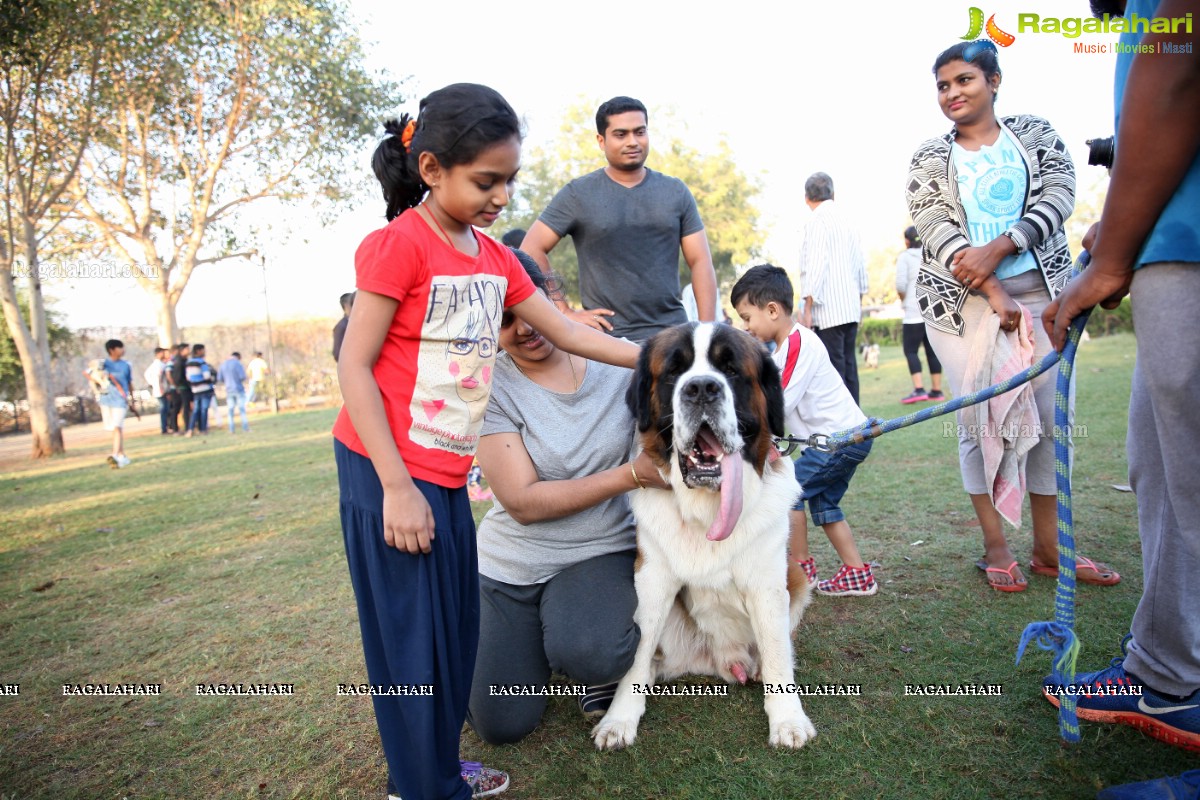 World's Pet Day 2017 at Necklace Road, Hyderabad