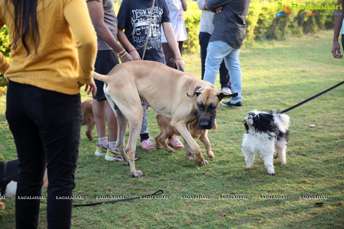 World's Pet Day 2017 at Necklace Road, Hyderabad