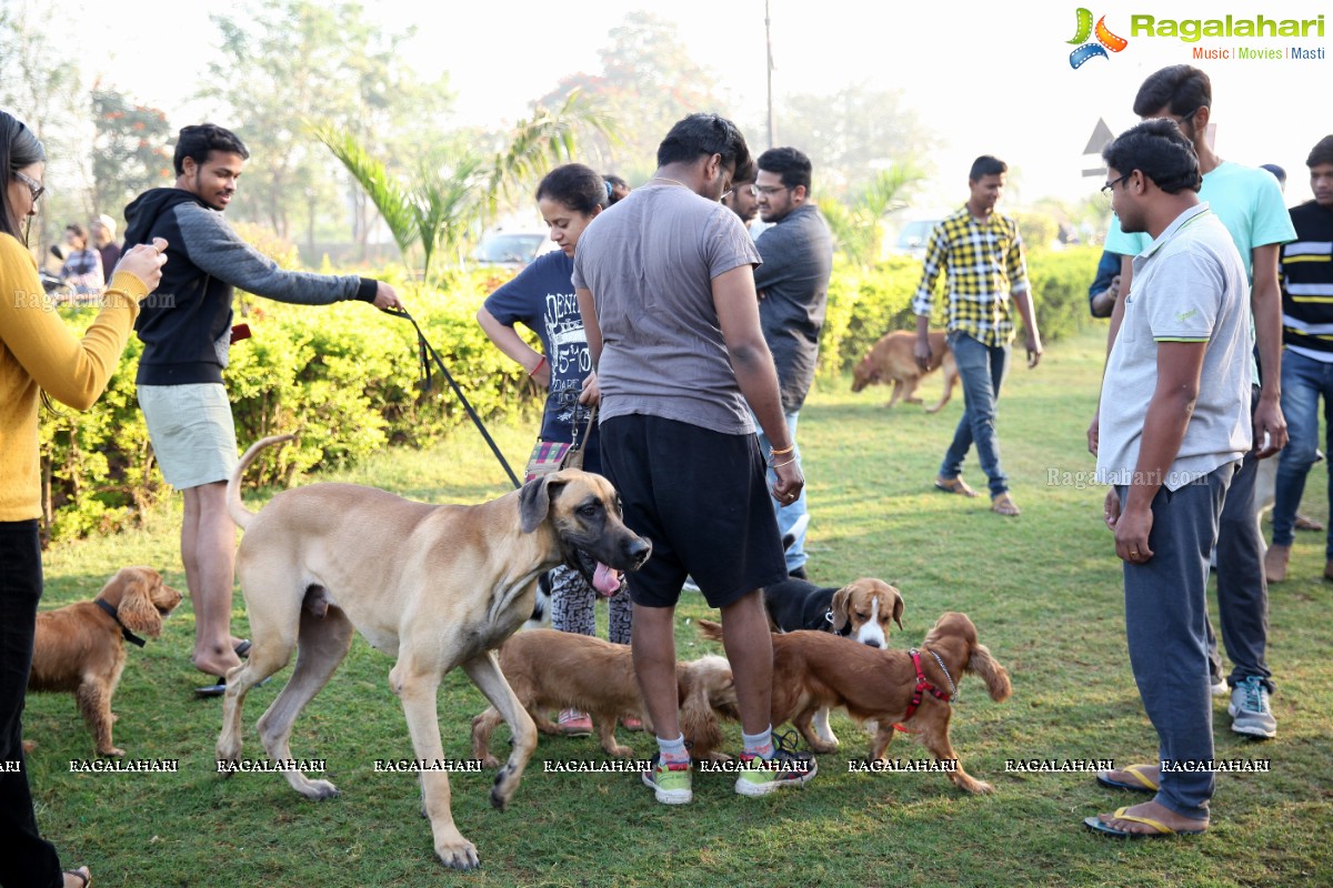 World's Pet Day 2017 at Necklace Road, Hyderabad