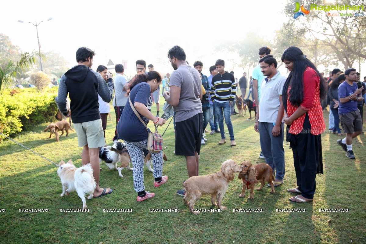 World's Pet Day 2017 at Necklace Road, Hyderabad