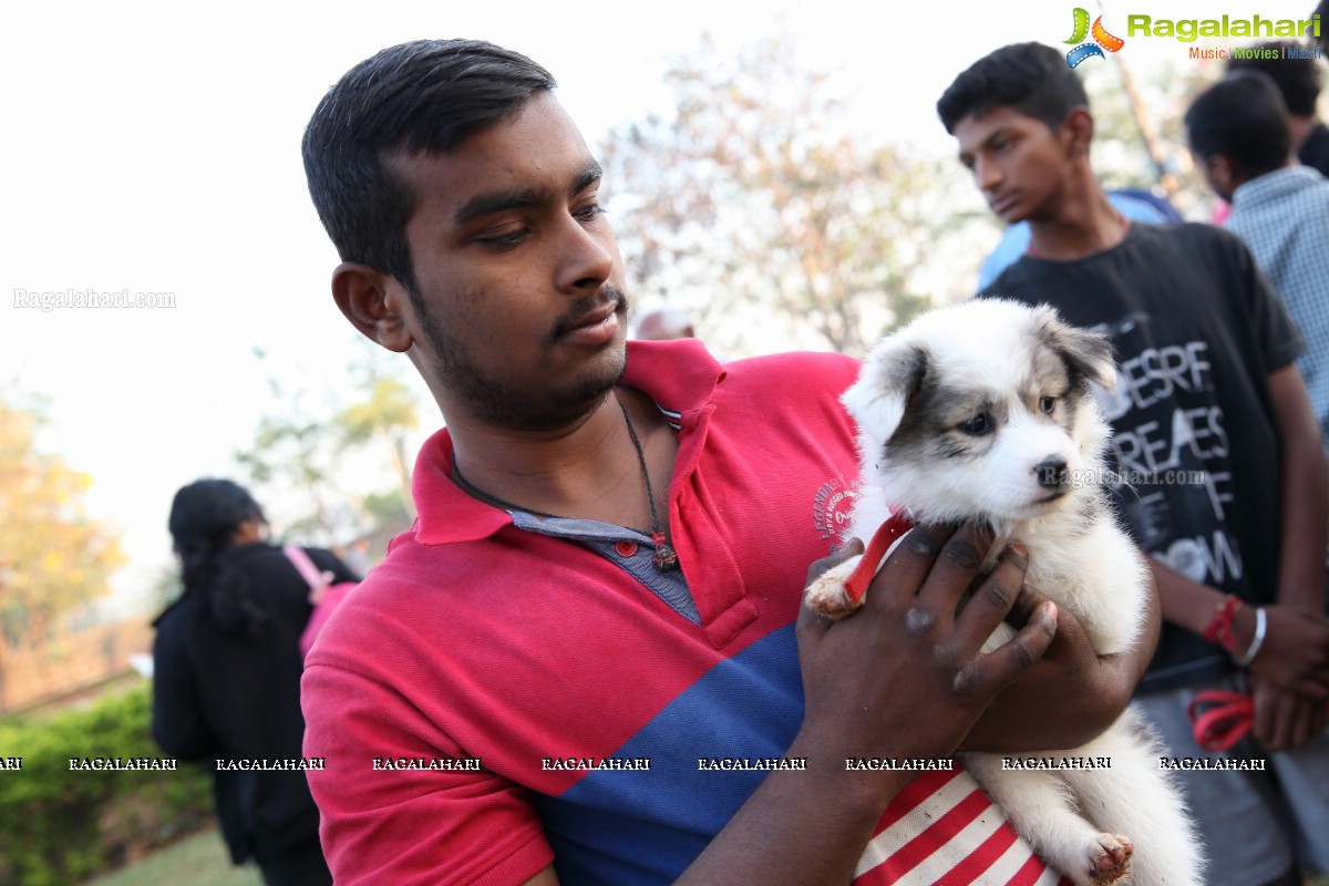 World's Pet Day 2017 at Necklace Road, Hyderabad