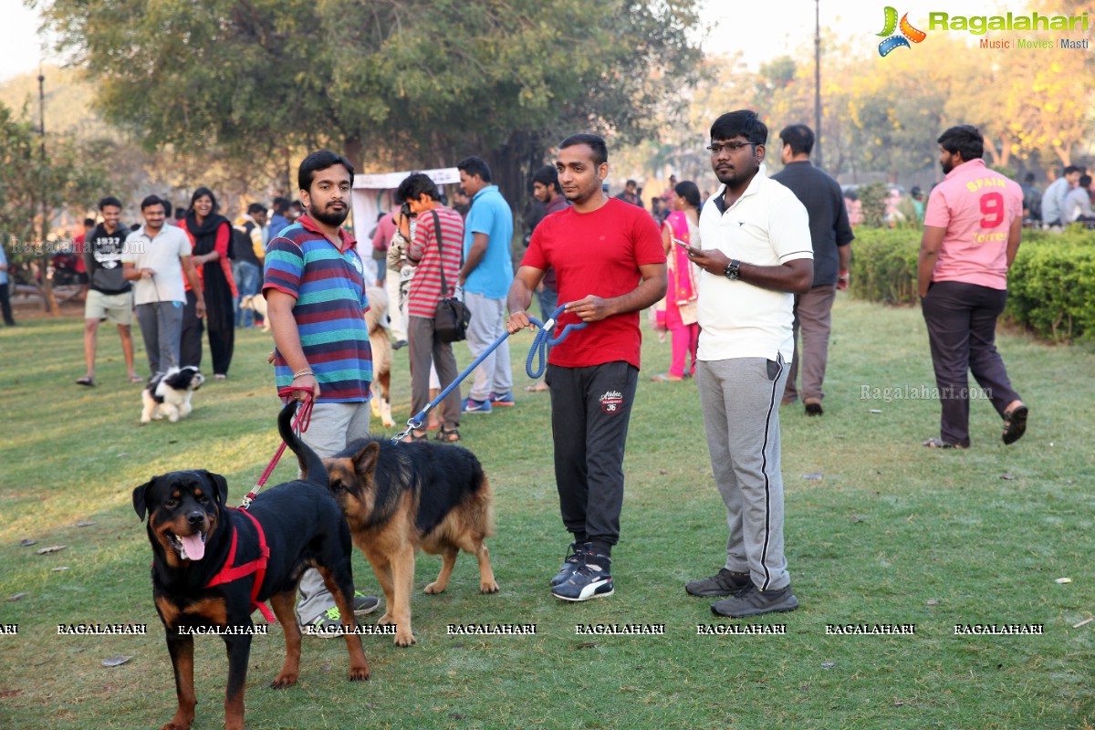 World's Pet Day 2017 at Necklace Road, Hyderabad