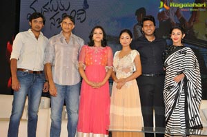 Manasuku Nachindi Pre Release Event