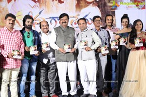 Seenugadi Prema Audio Release