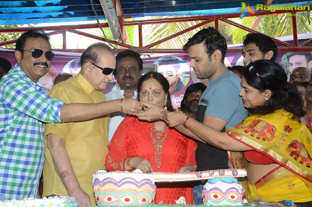 Vijaya Nirmala 73rd Birthday Celebrations