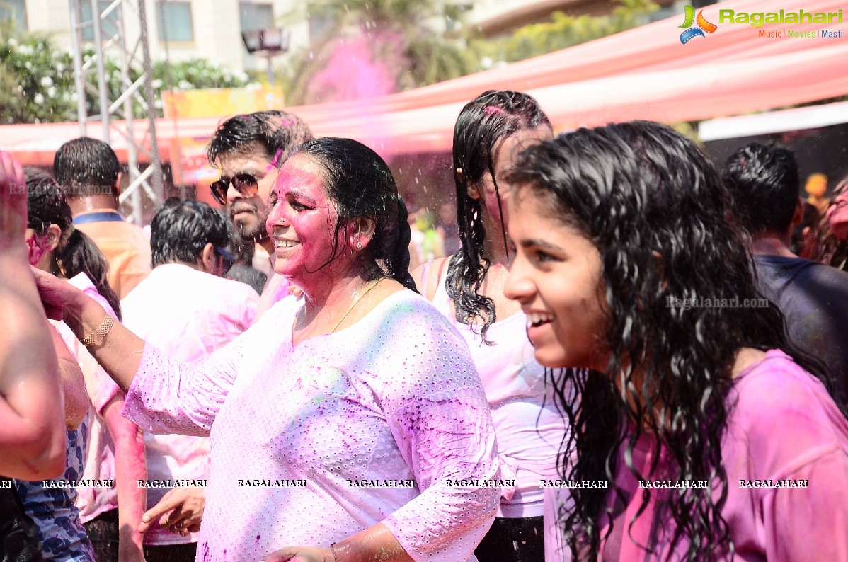 Bang Bang Holi Fest 2018 at Novotel Hyderabad Airport