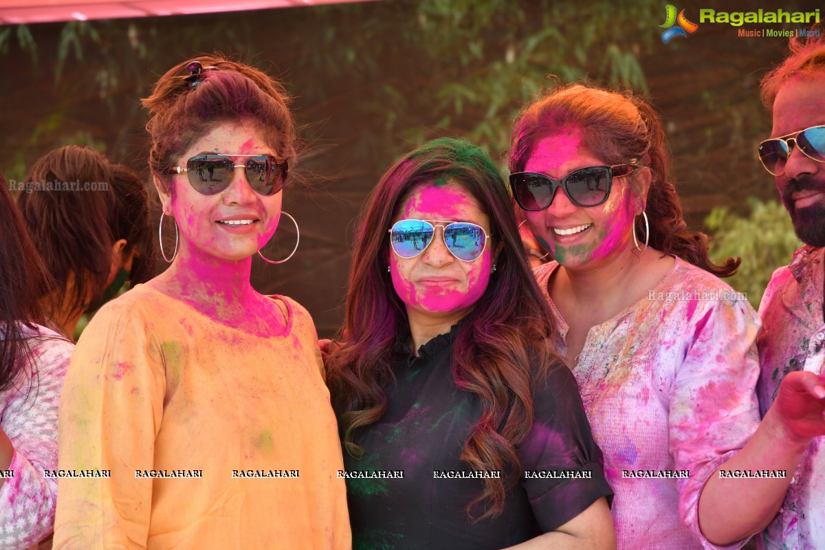 Bang Bang Holi Fest 2018 at Novotel Hyderabad Airport