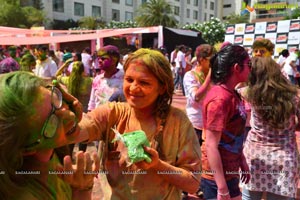 Bang Bang Holi Fest 2018