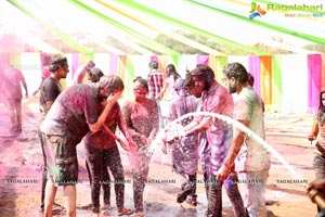 Holi Re Vol 3 Hyderabad 2017