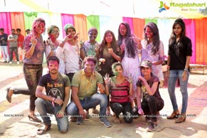 Holi Re Vol 3 Hyderabad 2017