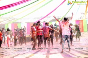 Holi Re Vol 3 Hyderabad 2017