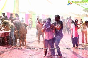 Holi Re Vol 3 Hyderabad 2017