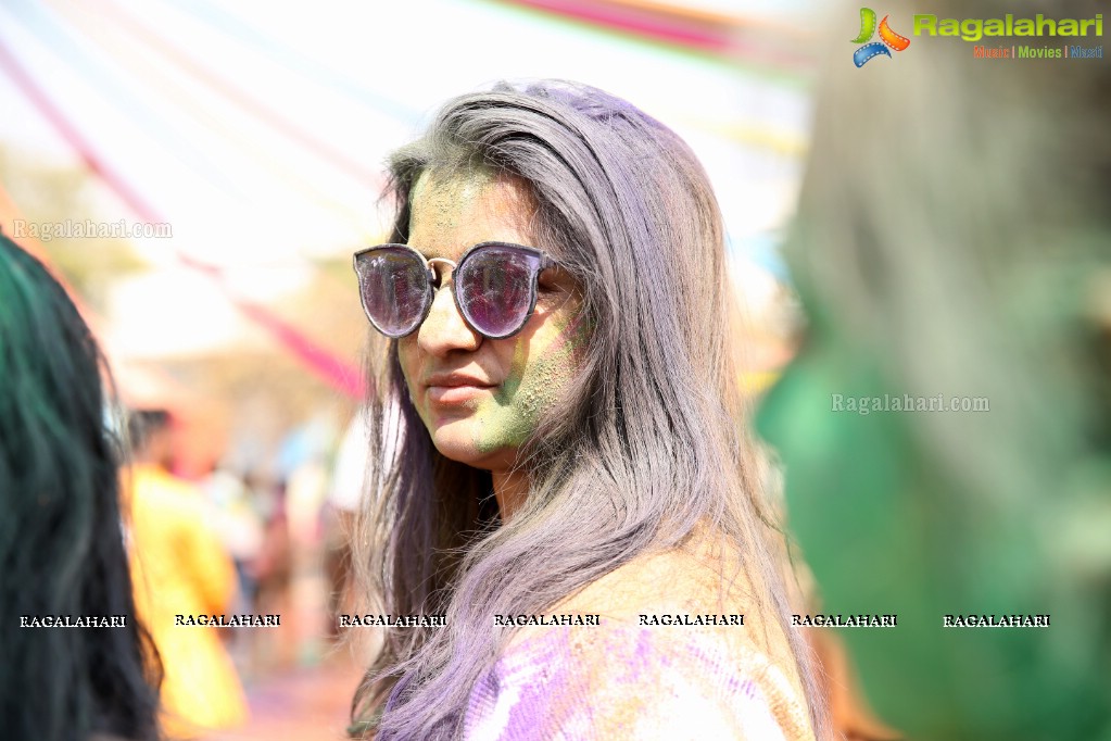 Holi Re Vol 3 at Man Made Hills, Raunaq's HIGH Q