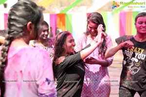 Holi Re Vol 3 Hyderabad 2017