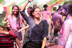 Holi Re Vol 3 Hyderabad 2017