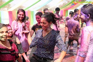 Holi Re Vol 3 Hyderabad 2017