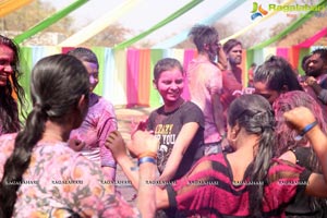 Holi Re Vol 3 Hyderabad 2017