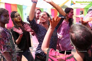 Holi Re Vol 3 Hyderabad 2017