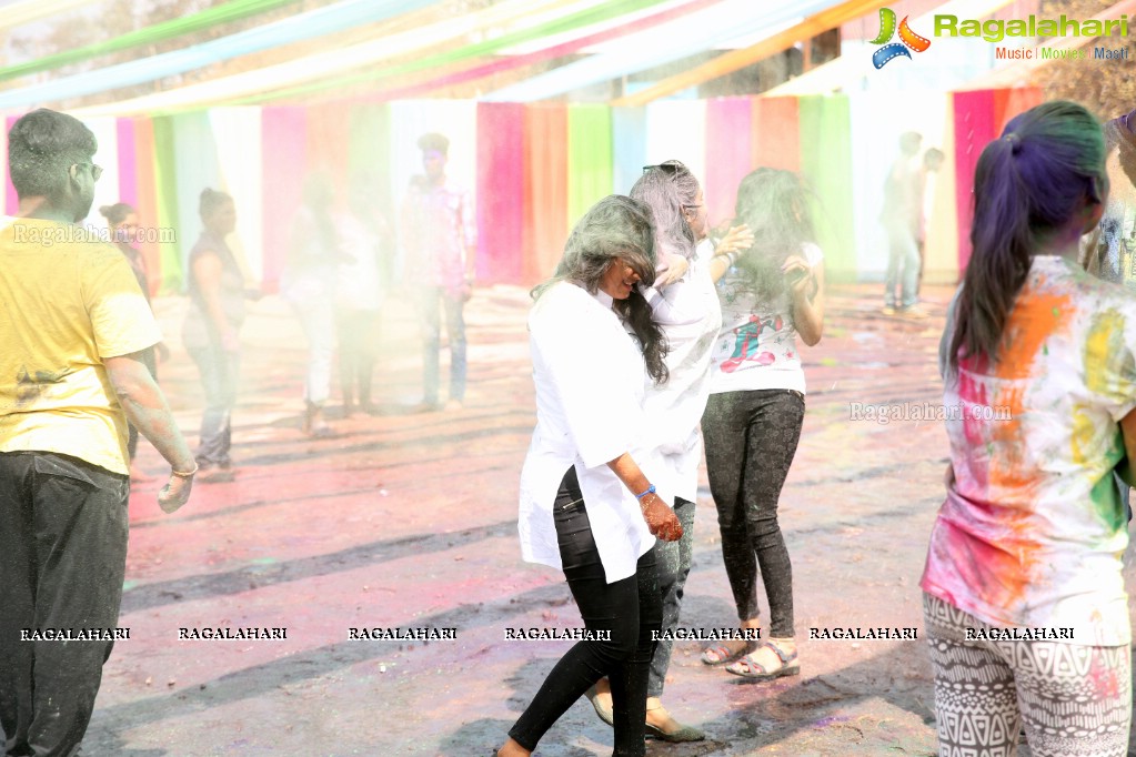 Holi Re Vol 3 at Man Made Hills, Raunaq's HIGH Q