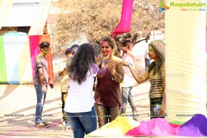 Holi Re Vol 3 Hyderabad 2017