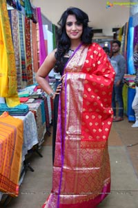 Triveni Rao National Silk Expo