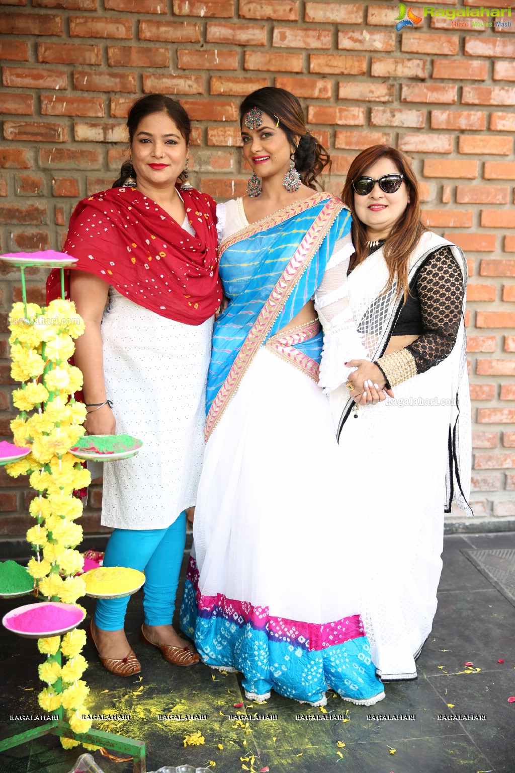 Queens Lounge Pre-Holi Bash by Sneha Chowdary at TAG - The American Grill