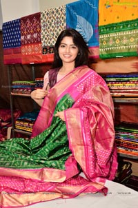 Shirin Kanchawal Pochampally IKAT Art Mela