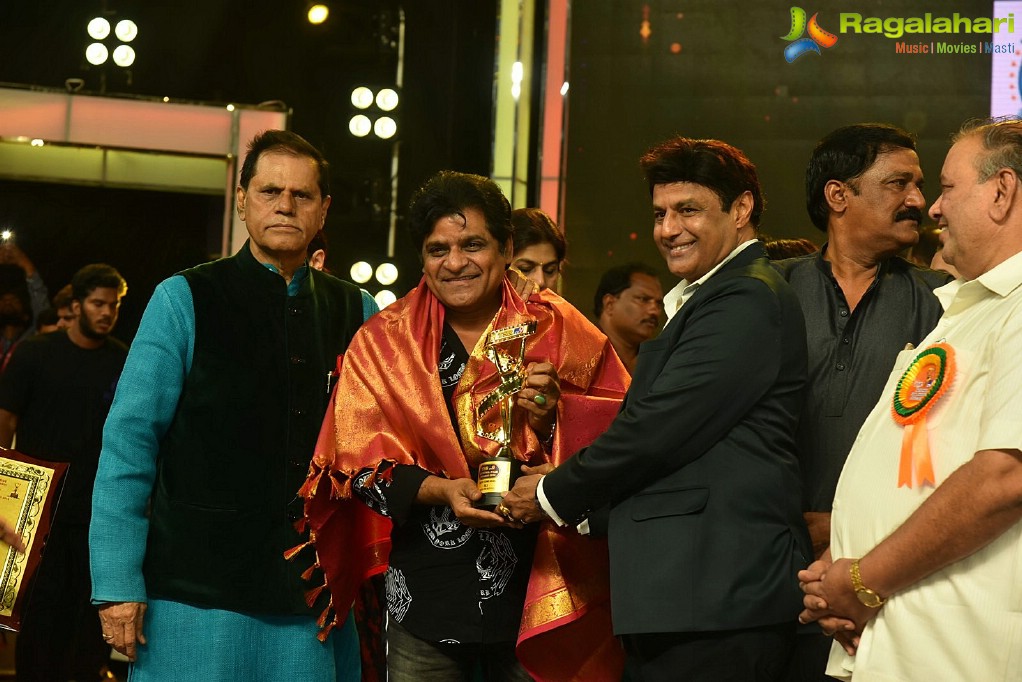TSR TV9 National Film Awards 2017-2018 at Visakhapatnam 