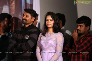 Where is The Venkata Lakshmi Audio Launch