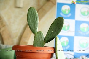 Chevella Farms Introduces Nopales Cactus