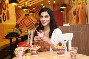 Cream Stone Ice Creams New Store Launch