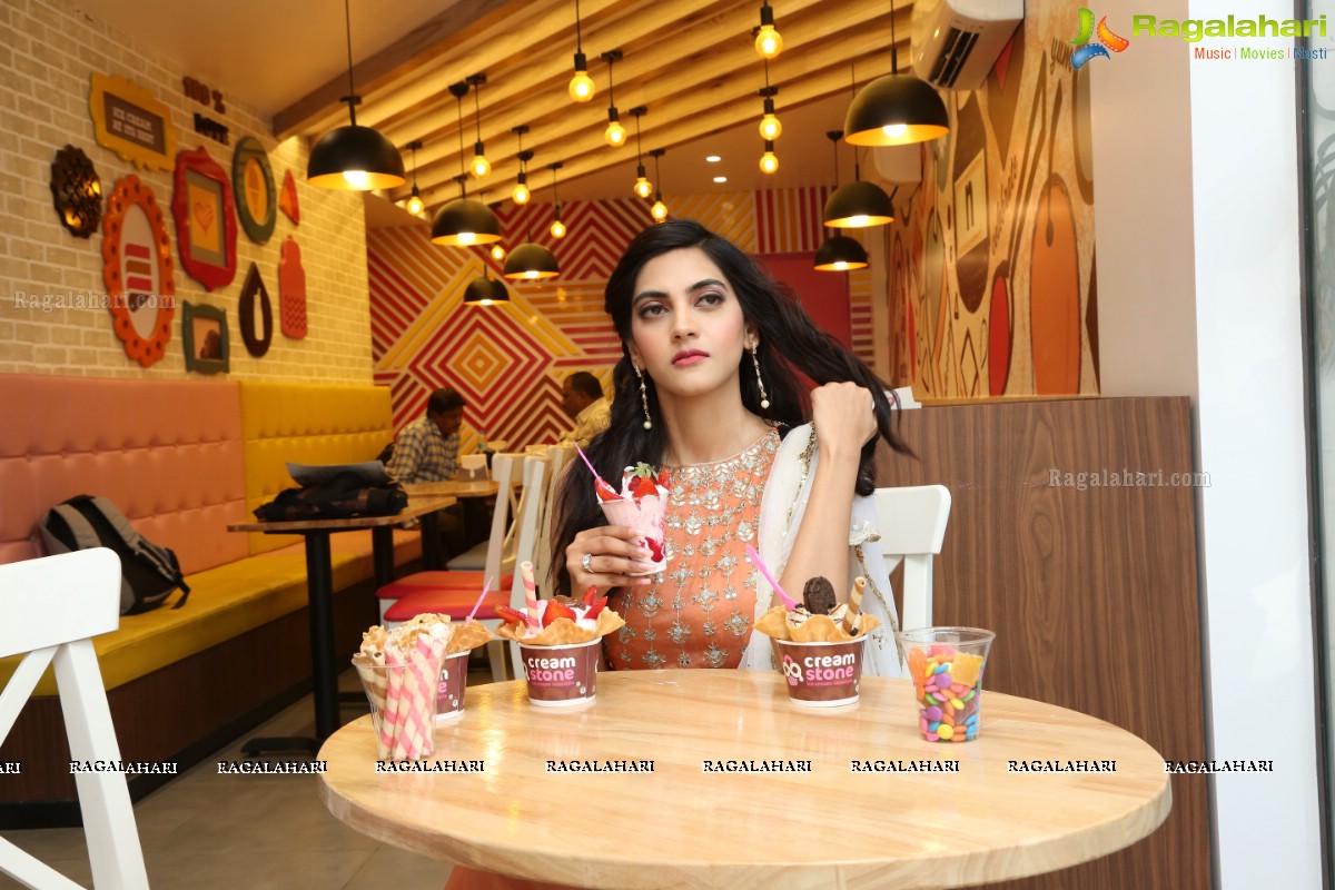 Cream Stone Ice Creams 69th Store Launch at Serilingampally