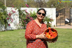 La Tomatina Festival at Green City Farm House
