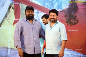 Bheeshma Movie Success Meet