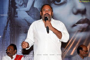 Screenplay Movie Press Meet