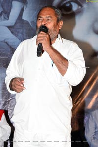 Screenplay Movie Press Meet