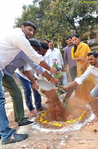 Harish Shankar, MLA Kranthi Participate in Haritha Haram