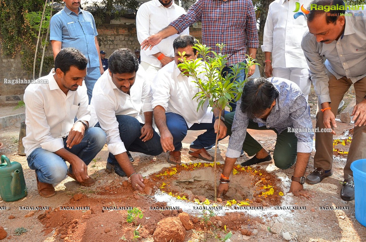 Director Harish Shankar & MLA Kranthi Participate in Haritha Haram Program